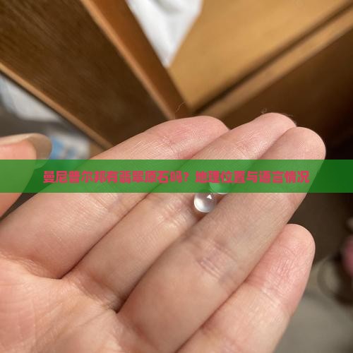 曼尼普尔邦有翡翠原石吗？地理位置与语言情况