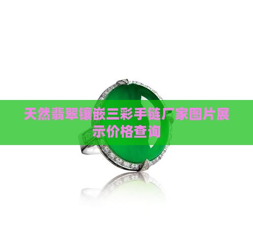 天然翡翠镶嵌三彩手链厂家图片展示价格查询