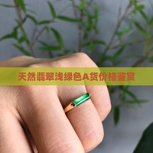 天然翡翠浅绿色A货价格鉴赏