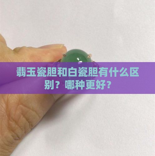 翡玉瓷胆和白瓷胆有什么区别？哪种更好？