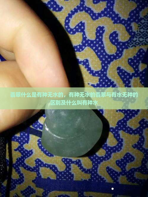 翡翠什么是有种无水的，有种无水的翡翠与有水无种的区别及什么叫有种水