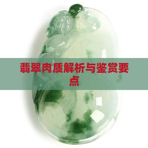 翡翠肉质解析与鉴赏要点