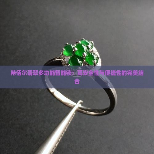 希佰尔翡翠多功能智能锁：高安全性与便捷性的完美结合