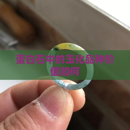 蛋白石中的玉化品种价值如何