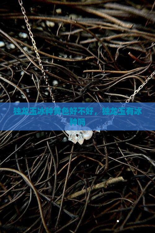 独龙玉冰种黄色好不好，独龙玉有冰种吗