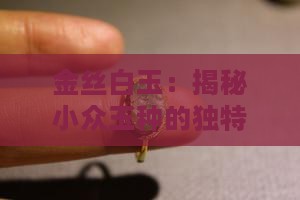 金丝白玉：揭秘小众玉种的独特魅力与价值
