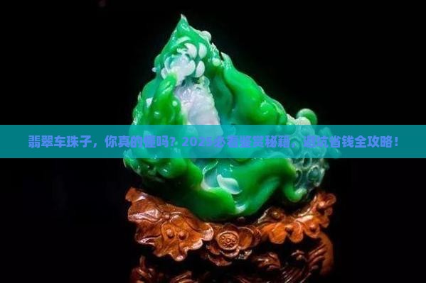 车珠子翡翠鉴赏