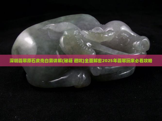 深圳翡翠原石皮壳白雾讲解