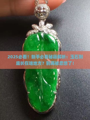 玉石生长在潮湿又有阳光的地方吗