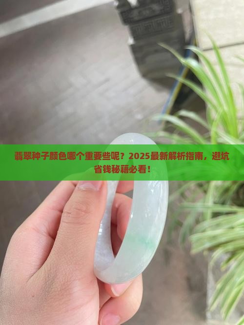 翡翠种子颜色哪个重要些呢