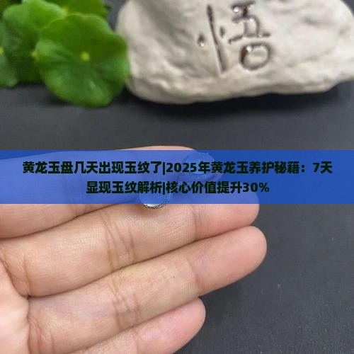 黄龙玉盘几天出现玉纹了