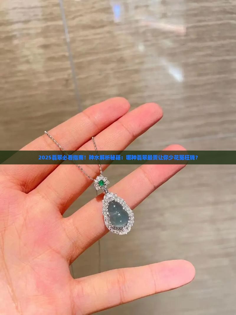 翡翠中什么种最贵
