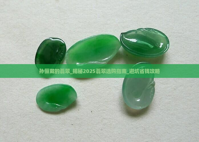 孙俪戴的翡翠