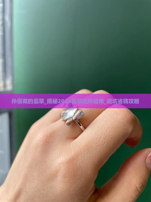 孙俪戴的翡翠