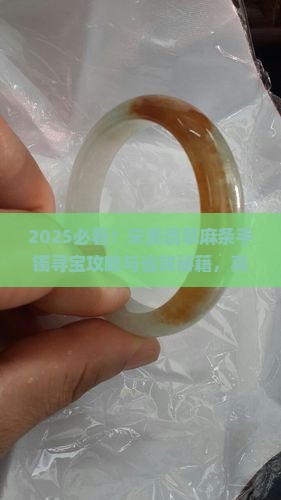 宋美翡翠麻条手镯在哪里