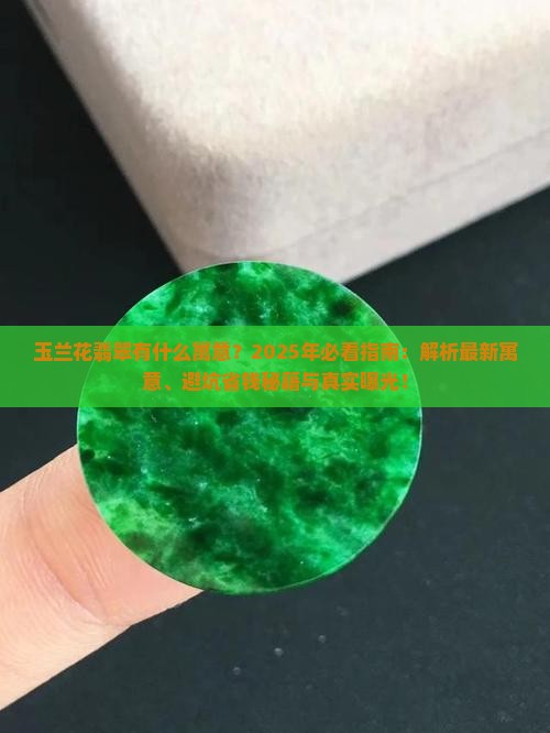 玉兰花翡翠有什么寓意