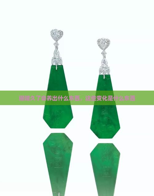 珊瑚玉戴久了会养出什么东西