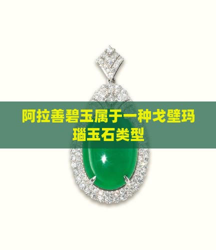 阿拉善碧玉属于什么玉石类型