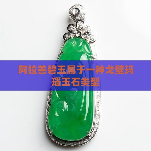 阿拉善碧玉属于什么玉石类型