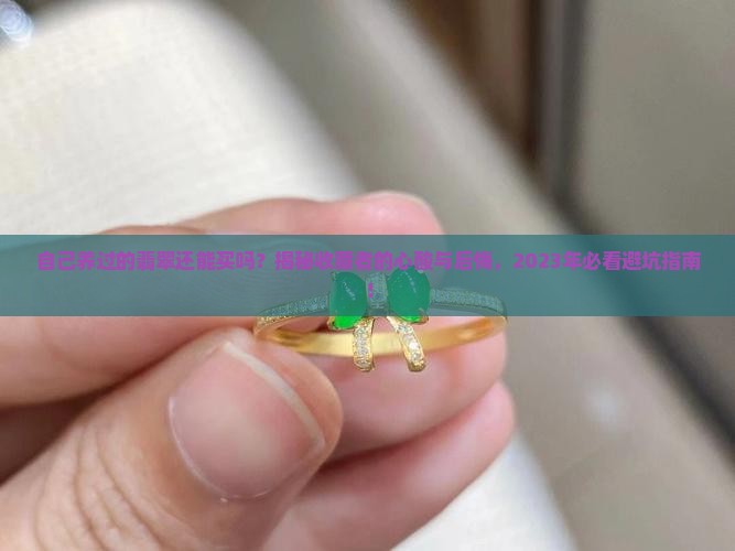自己养过的翡翠可以买吗现在