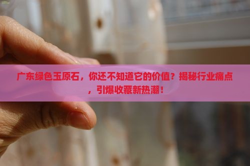 广东绿色玉原石
