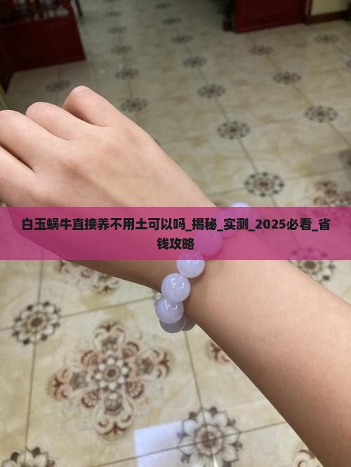 白玉蜗牛直接养不用土可以吗