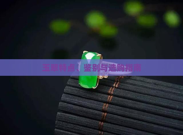 玉翠特点、鉴别与选购指南