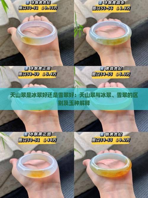 天山翠是冰翠好还是雪翠好：天山翠与冰翠、雪翠的区别及玉种解释