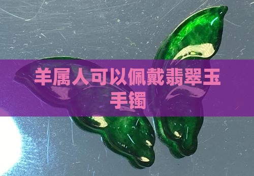 羊属人可以佩戴翡翠玉手镯