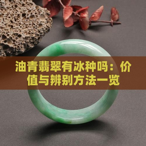 油青翡翠有冰种吗：价值与辨别方法一览