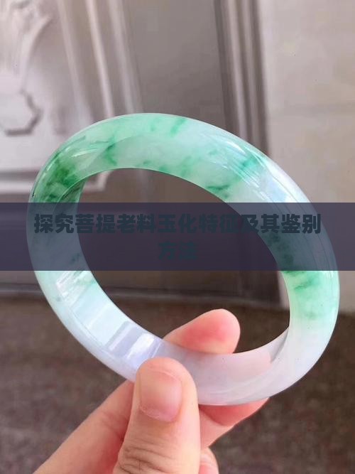 探究菩提老料玉化特征及其鉴别方法