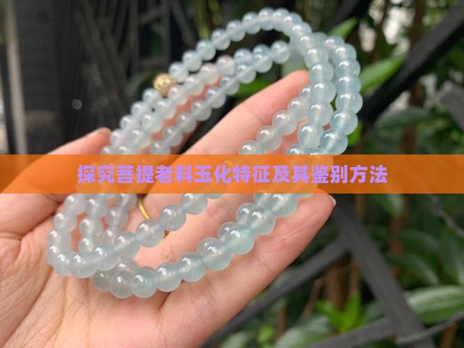 探究菩提老料玉化特征及其鉴别方法