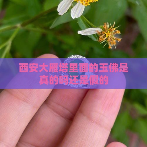 西安大雁塔里面的玉佛是真的吗还是假的
