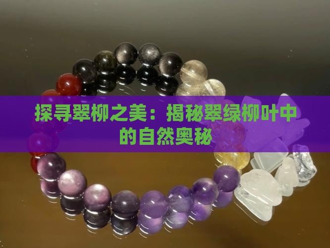探寻翠柳之美：揭秘翠绿柳叶中的自然奥秘