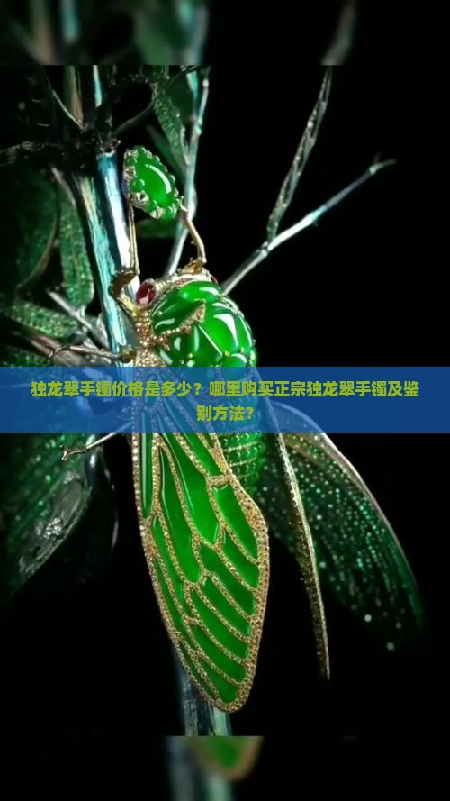 独龙翠手镯价格是多少？哪里购买正宗独龙翠手镯及鉴别方法？