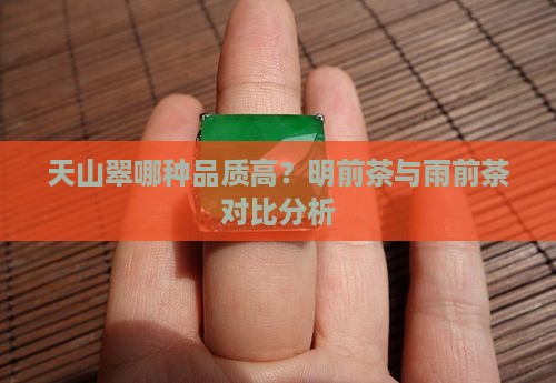 天山翠哪种品质高？明前茶与雨前茶对比分析