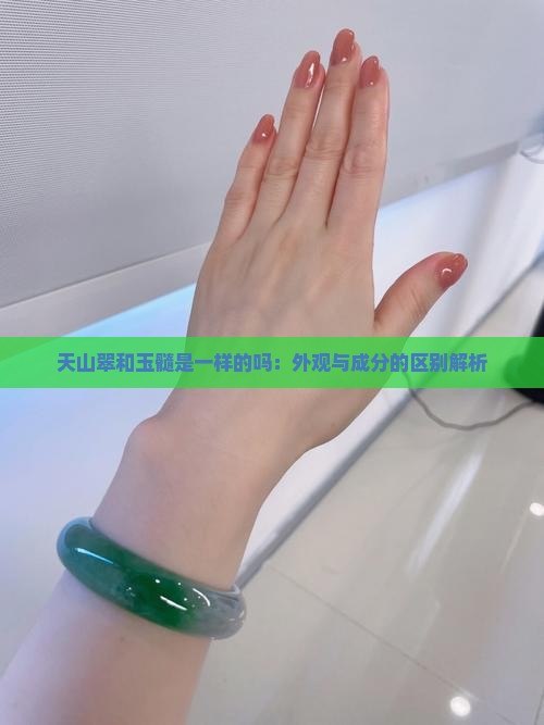 天山翠和玉髓是一样的吗：外观与成分的区别解析