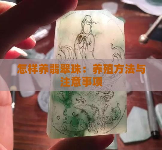 怎样养翡翠珠：养殖方法与注意事项