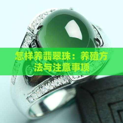怎样养翡翠珠：养殖方法与注意事项