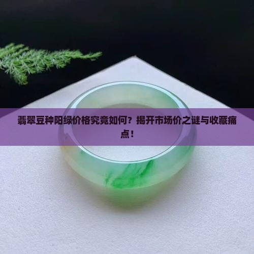 翡翠豆种阳绿价格究竟如何？揭开市场价之谜与收藏痛点！
