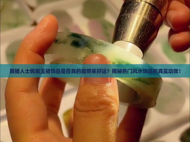 属猪人士佩戴玉猪饰品是否真的能带来好运？揭秘热门风水饰品的真实功效！