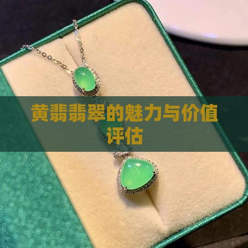 黄翡翡翠的魅力与价值评估