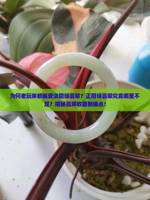 为何老玩家都偏爱浓阳绿翡翠？正阳绿翡翠究竟哪里不足？揭秘翡翠收藏新痛点！