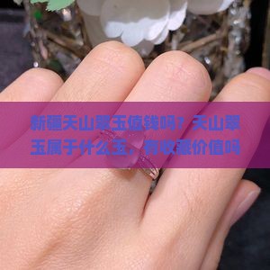 新疆天山翠玉值钱吗？天山翠玉属于什么玉，有收藏价值吗
