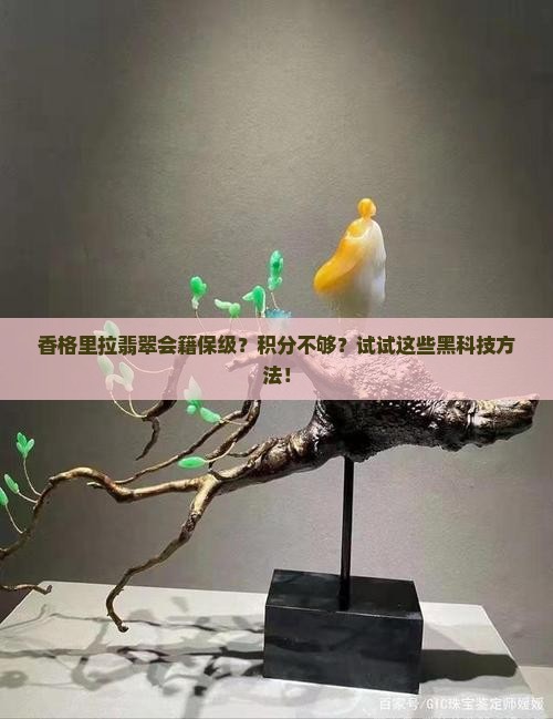 香格里拉翡翠会籍保级？积分不够？试试这些黑科技方法！