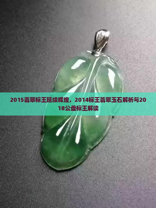 2015翡翠标王延续辉煌，2014标王翡翠玉石解析与2018公盘标王解读