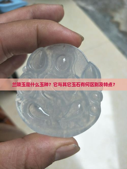 兰陵玉是什么玉种？它与其它玉石有何区别及特点？