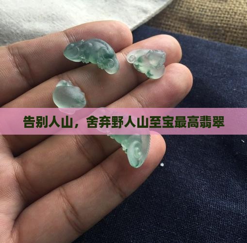 告别人山，舍弃野人山至宝最高翡翠