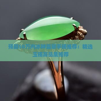 预算50万内冰种翡翠手镯推荐：精选玉镯高品质推荐
