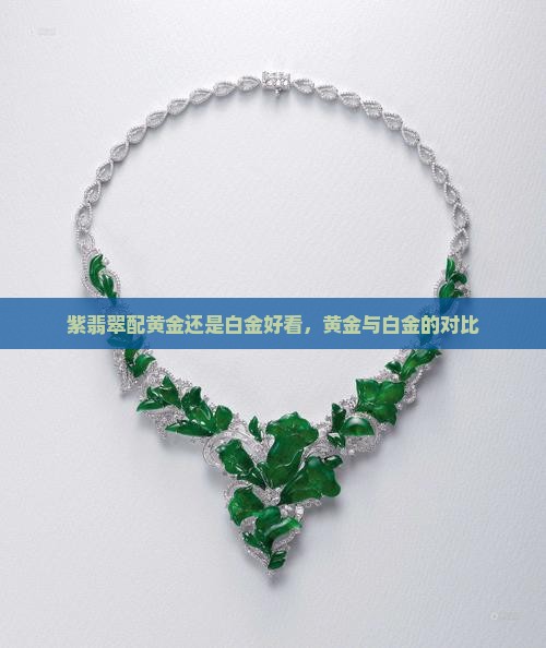 紫翡翠配黄金还是白金好看，黄金与白金的对比